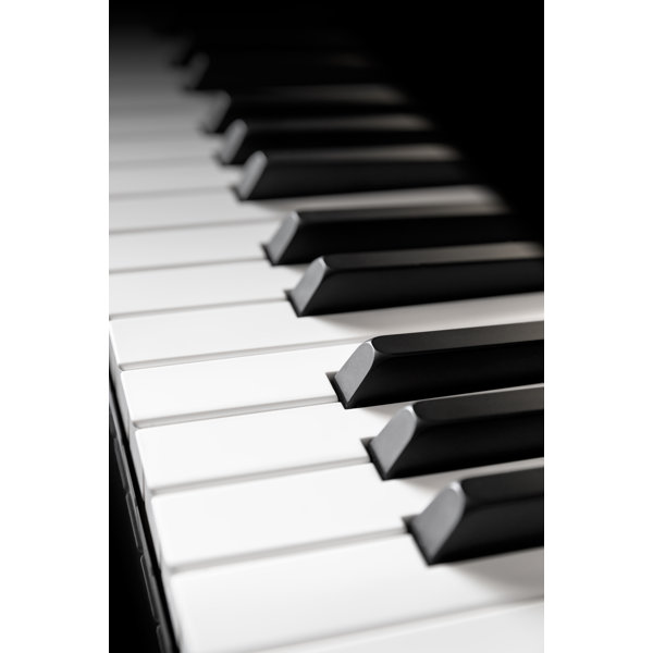 Ebern Designs Piano Keyboard On Canvas by Print Wayfair